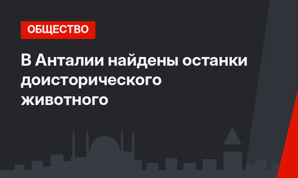  В Анталии найдены останки доисторического животного