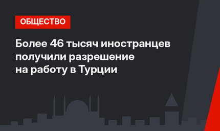 Более 46 тысяч иностранцев получили разрешение на работу в Турции