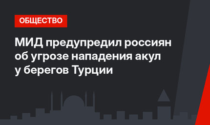 МИД предупредил россиян об угрозе нападения акул у берегов Турции