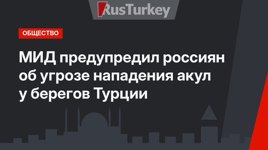 МИД предупредил россиян об угрозе нападения акул у берегов Турции