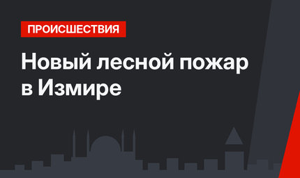 Новый лесной пожар в Измире