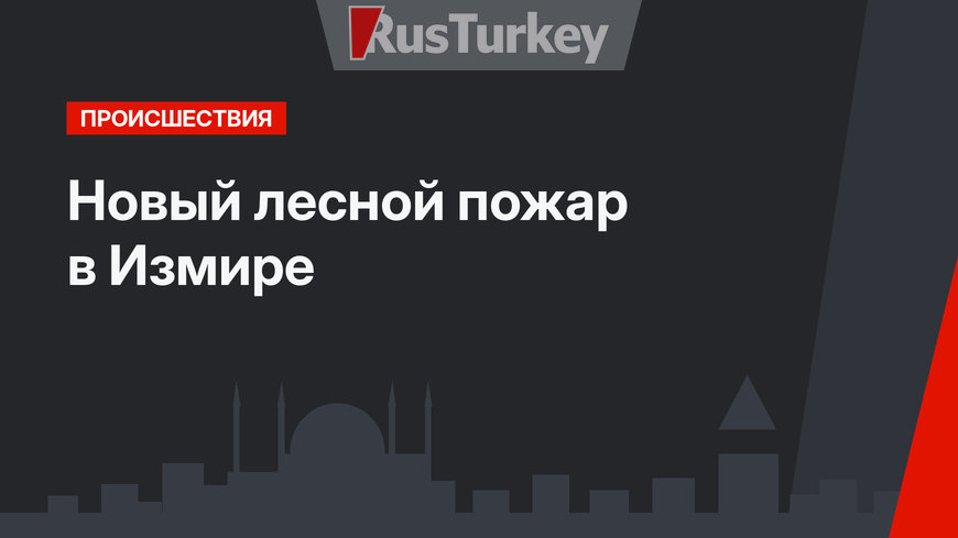 Новый лесной пожар в Измире
