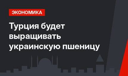Турция будет выращивать украинскую пшеницу