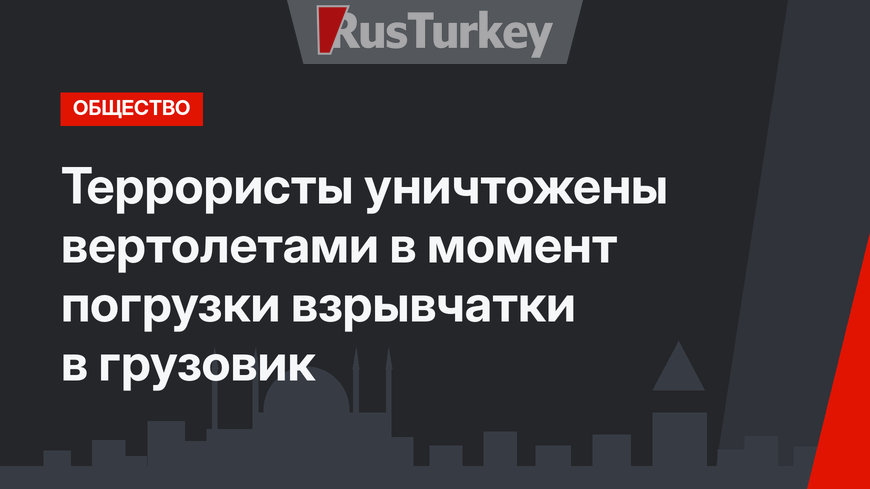Террористы уничтожены вертолетами в момент погрузки взрывчатки в грузовик