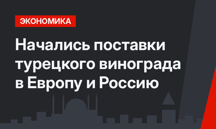 Начались поставки турецкого винограда  в Европу и Россию