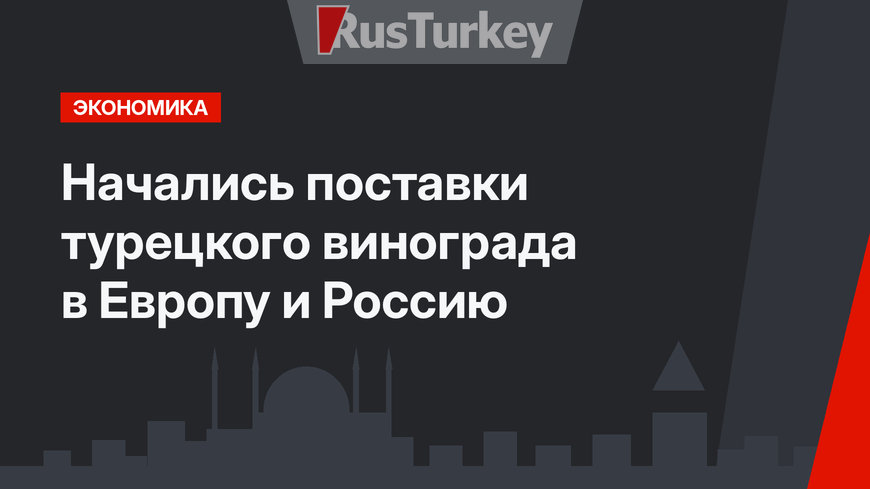 Начались поставки турецкого винограда  в Европу и Россию