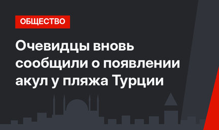 Очевидцы вновь сообщили о появлении акул у пляжа Турции
