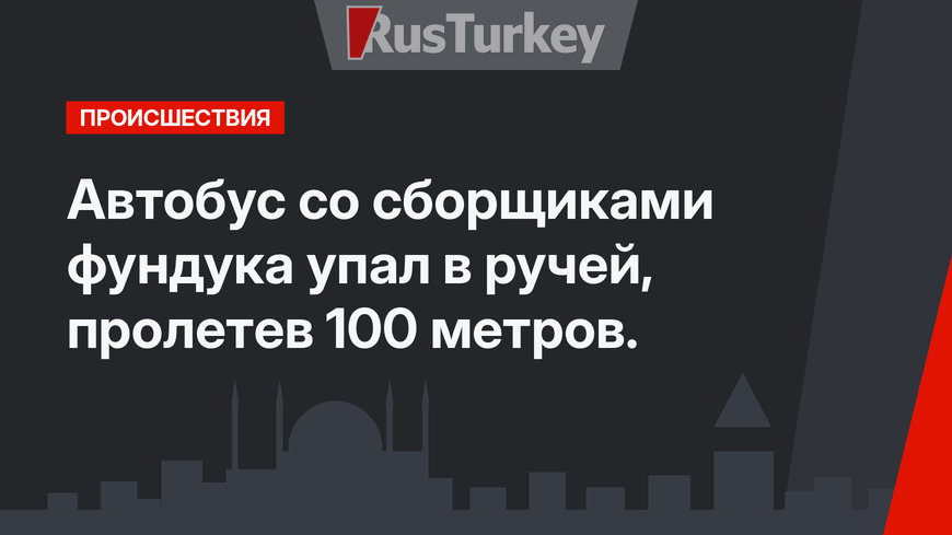 Автобус со сборщиками фундука упал в ручей, пролетев 100 метров.