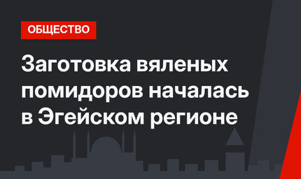 Заготовка вяленых помидоров началась в Эгейском регионе