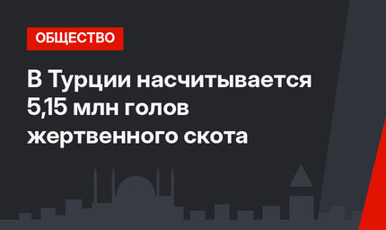 В Турции насчитывается 5,15 млн голов жертвенного скота