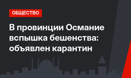 В провинции Османие вспышка бешенства: объявлен карантин
