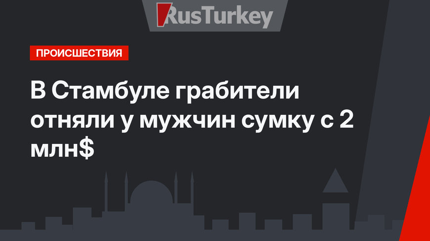 В Стамбуле грабители отняли у мужчин сумку с 2 млн$