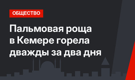 Пальмовая роща в Кемере горела дважды за два дня