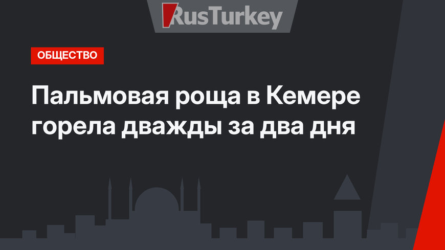 Пальмовая роща в Кемере горела дважды за два дня