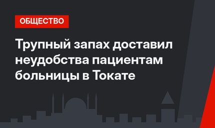Трупный запах доставил неудобства пациентам больницы в Токате