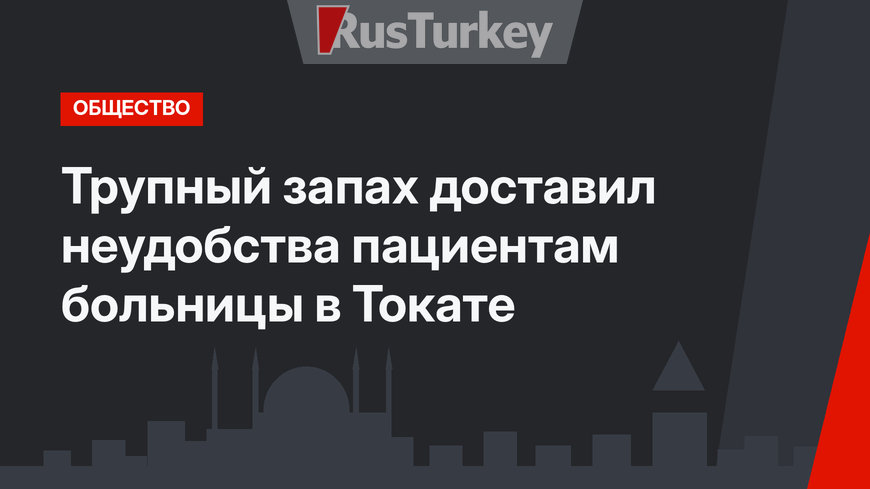 Трупный запах доставил неудобства пациентам больницы в Токате