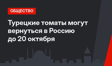 Турецкие томаты могут вернуться в Россию до 20 октября