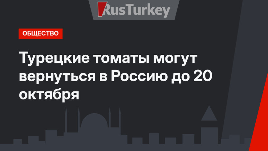 Турецкие томаты могут вернуться в Россию до 20 октября