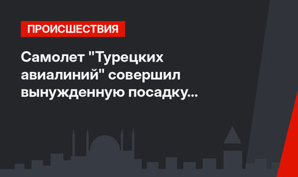 Самолет "Турецких авиалиний" совершил вынужденную посадку в Дублине