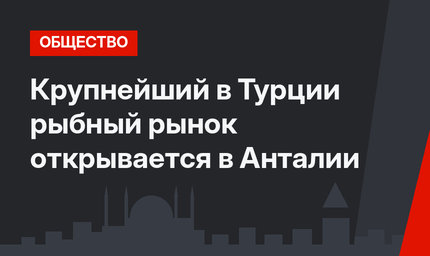 Крупнейший в Турции рыбный рынок открывается в Анталии