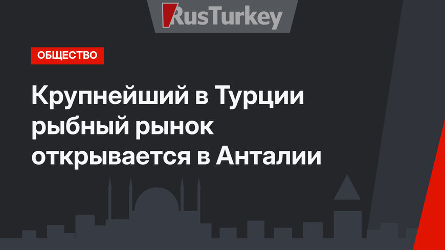 Крупнейший в Турции рыбный рынок открывается в Анталии
