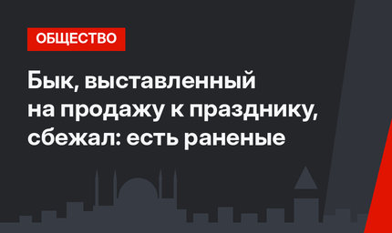 Бык, выставленный на продажу к празднику, сбежал: есть раненые