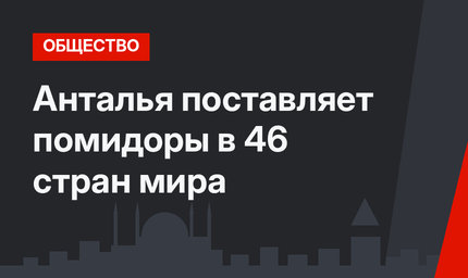 Анталья поставляет помидоры в 46 стран мира