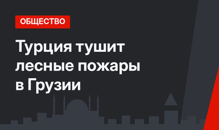 Турция тушит лесные пожары в Грузии