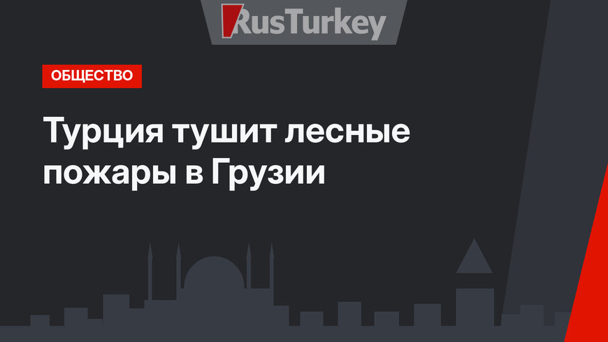 Турция тушит лесные пожары в Грузии