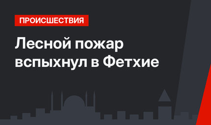 Лесной пожар вспыхнул в Фетхие