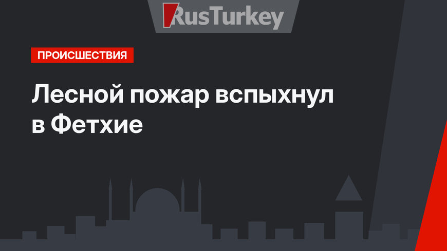 Лесной пожар вспыхнул в Фетхие