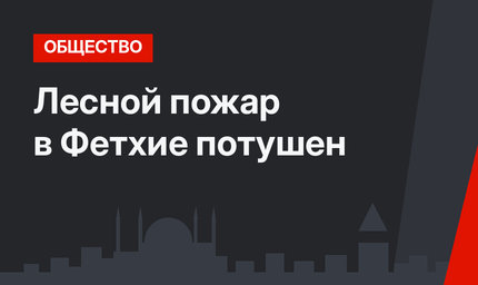 Лесной пожар в Фетхие потушен
