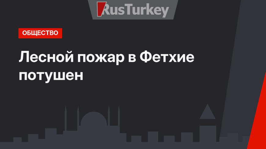Лесной пожар в Фетхие потушен
