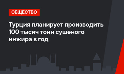 Турция планирует производить 100 тысяч тонн сушеного инжира в год