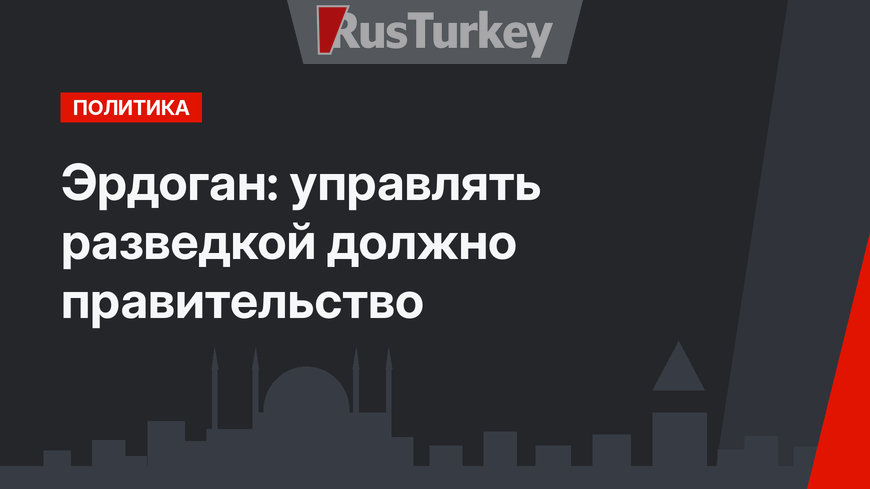 Эрдоган: управлять разведкой должно правительство