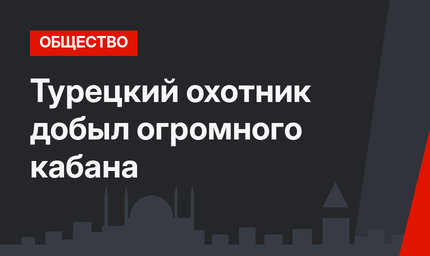 Турецкий охотник добыл огромного кабана