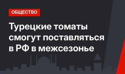 Турецкие томаты смогут поставляться в РФ в межсезонье