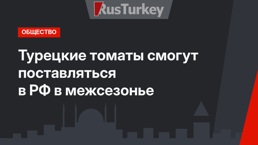 Турецкие томаты смогут поставляться в РФ в межсезонье