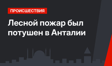 Лесной пожар был потушен в Анталии