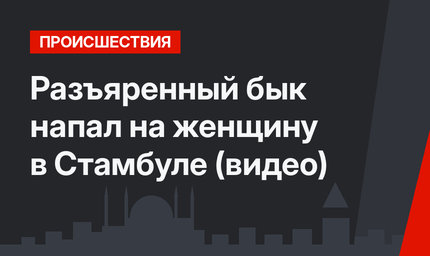 Разъяренный бык напал на женщину в Стамбуле (видео)