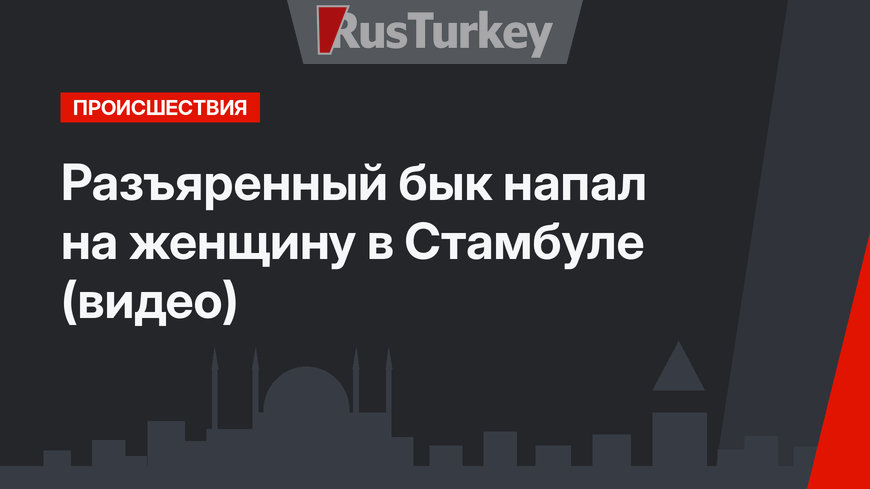 Разъяренный бык напал на женщину в Стамбуле (видео)