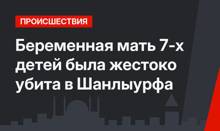 Беременная мать 7-х детей была жестоко убита в Шанлыурфа