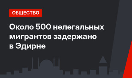 Около 500 нелегальных мигрантов задержано в Эдирне
