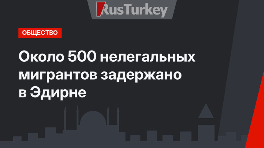 Около 500 нелегальных мигрантов задержано в Эдирне