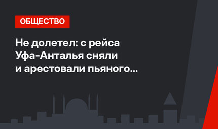 Не долетел: с рейса Уфа-Анталья сняли и арестовали пьяного дебошира
