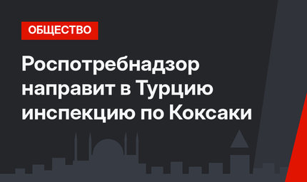 Роспотребнадзор направит в Турцию инспекцию по Коксаки