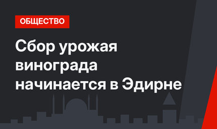 Сбор урожая винограда начинается в Эдирне