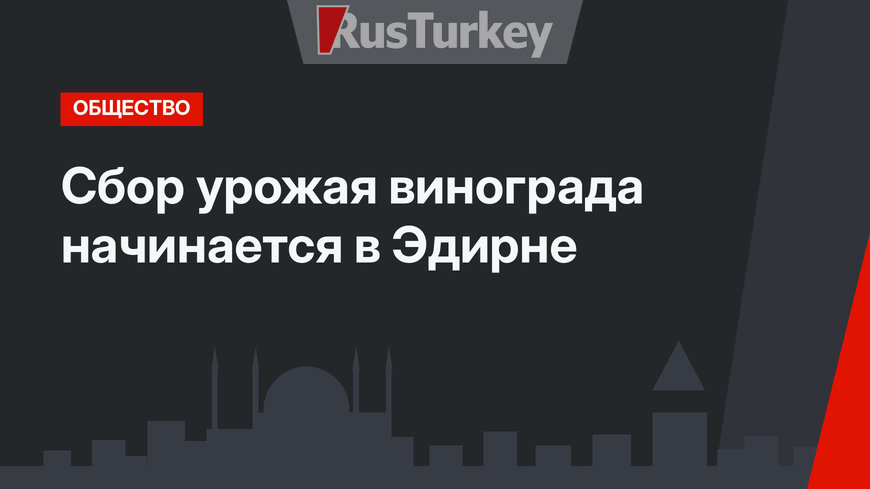 Сбор урожая винограда начинается в Эдирне