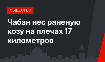 Чабан нес раненую козу на плечах 17 километров