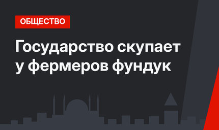 Государство скупает у фермеров фундук